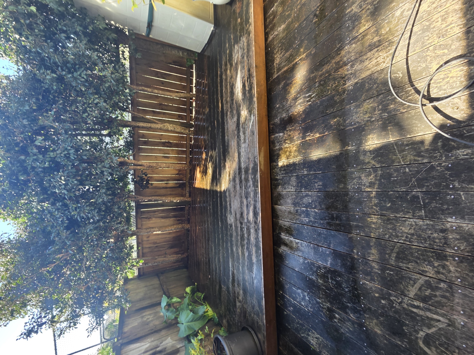 Weathered hardwood deck covered in mould and black staining before restoration