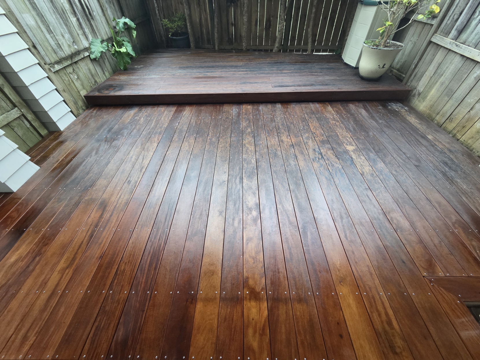 The same hardwood deck cleaned and freshly stained a rich warm brown