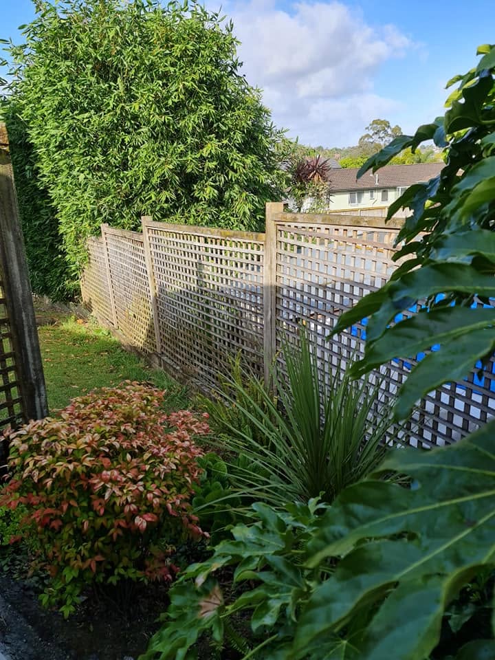 Timber lattice screen fence running along a planted garden edge